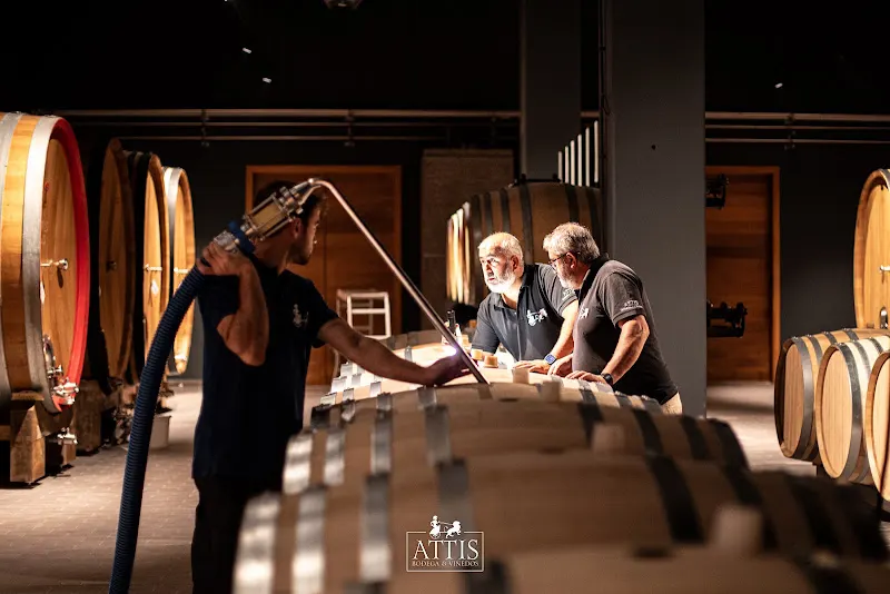 Attis Bodegas Y Viñedos SL