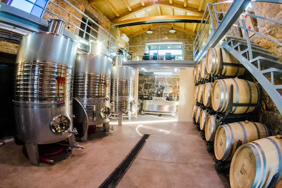 The Bargiela Bienati Winery