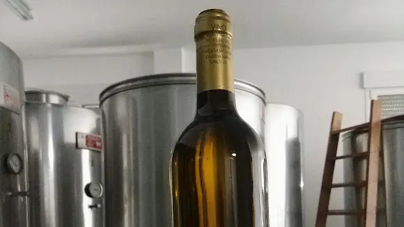 Bodegas viña da codeseira SL - Ribadumia