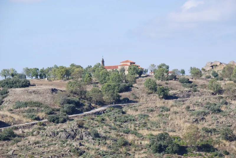 Bodegas Ribera de Pelazas S.L. - Perena de la Ribera