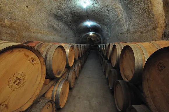 Bodegas Dehesa La Granja - Vadillo de la Guarena