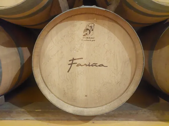 Bodegas Fariña - Casaseca de las Chanas