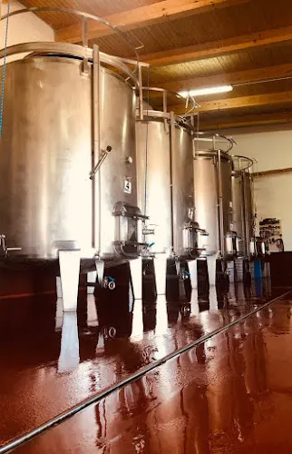 Bodega Vocarraje Vino Abdón Segovia