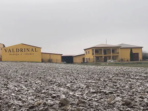 Bodega y viñedos Valdrinal