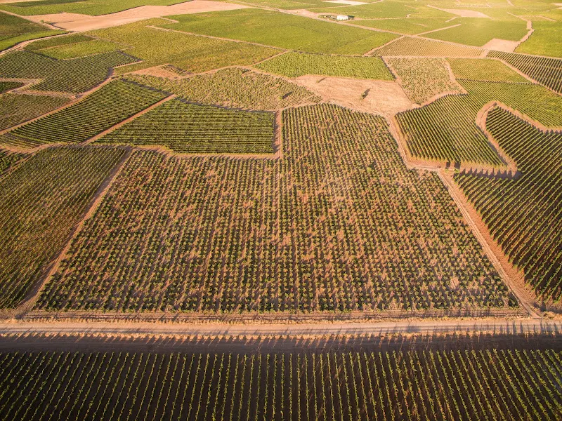 BODEGAS VIDAL SOBLECHERO