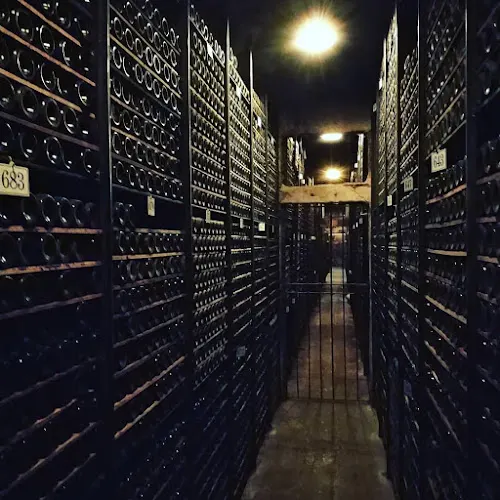 Bodegas de los Herederos del Marqués de Riscal Rueda