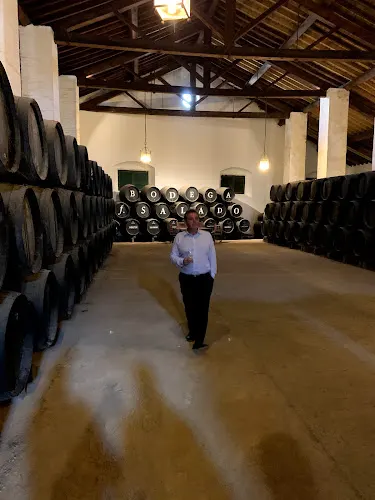 Bodegas F. Salado, S.L.