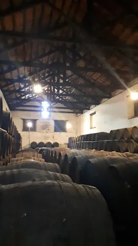 Viñedo El Loreto - Espartinas