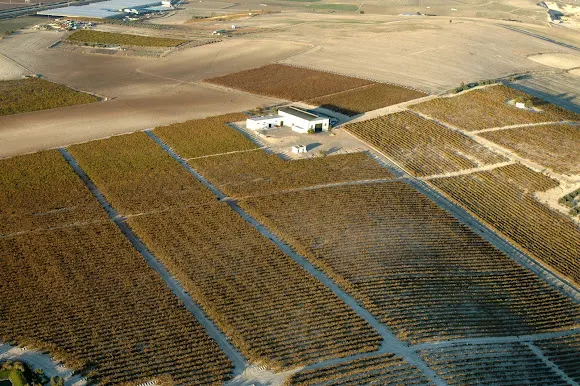 Bodegas Gonzalez palacios (viñedos y Bodega Overo)
