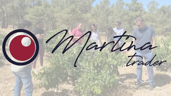 MARTINA TRADER S.L. - La Rinconada