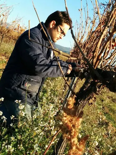 Celler Sanromà