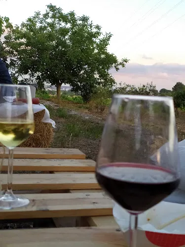 Bodega Mas Bella