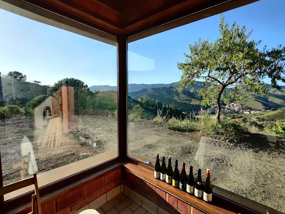 Celler Familia Nin Ortiz
