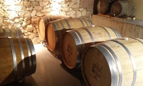 Celler Crivellé i Valls