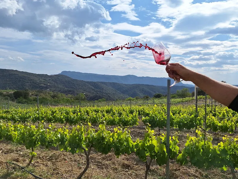 Celler Vilalta Pere - Vilanova de Prades