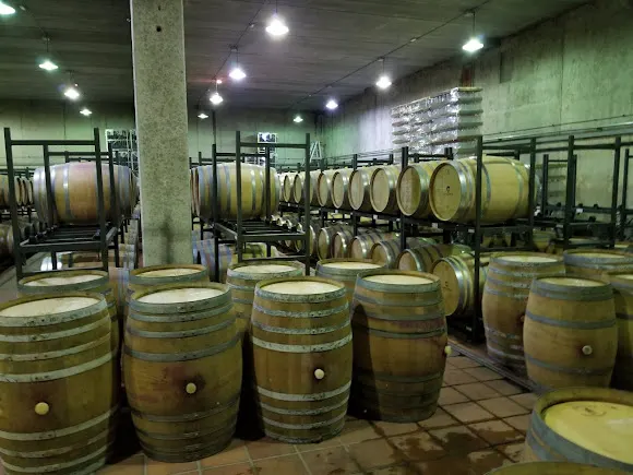 Celler de Capçanes - Bodega en Capcanes