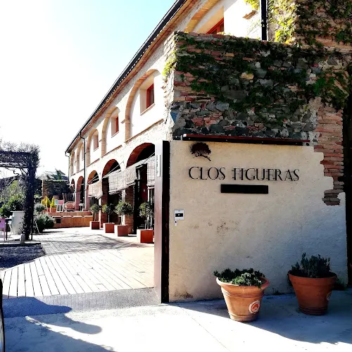 Clos Figueras - Gratallops