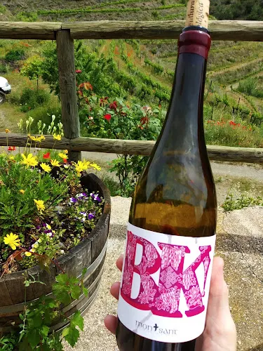 Atavus Priorat - Gratallops