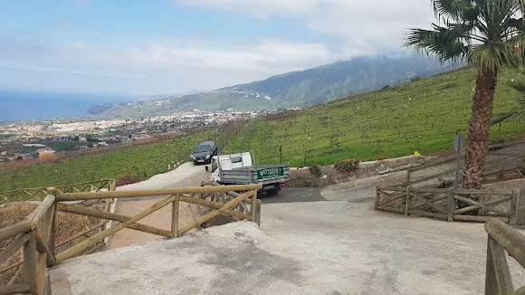 Bodegas Suertes del Marques - La Orotava