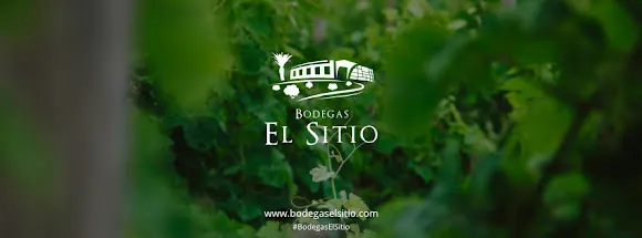 Bodega El Sitio de San Juan - Tacoronte