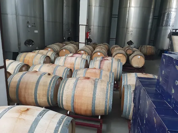 Bodegas El Hoyo - Villa de Mazo