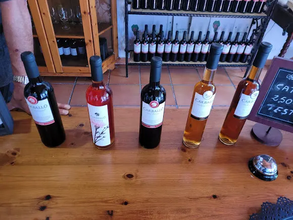 Bodegas Carballo - Fuencaliente de la Palma