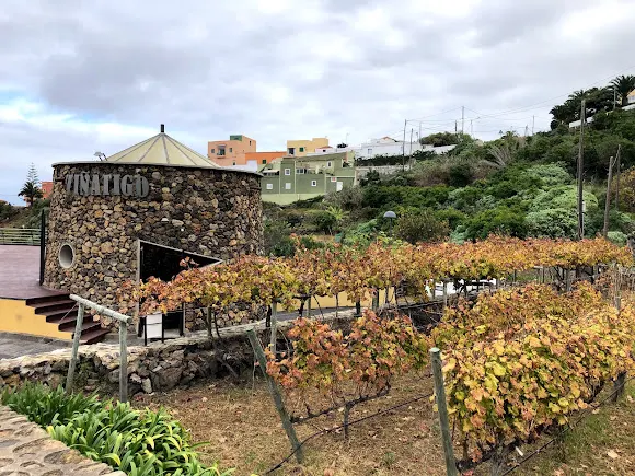 Bodegas Viñátigo - La Guancha