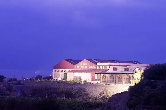 Bodega Cumbres De Abona - Arico