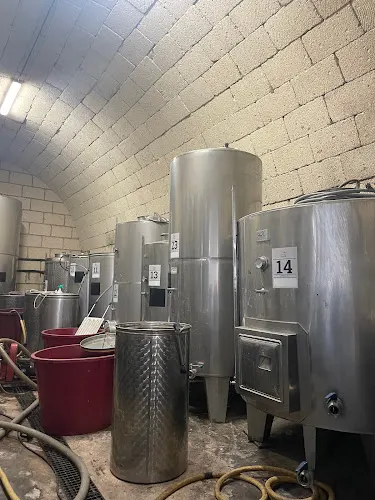 Bodega Vera de la Fuente - Fasnia