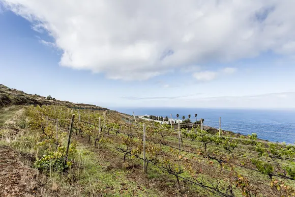 Bodegas Tagalguen - Garafía La Palma - Garafia