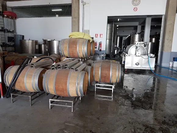 Bodega Mencey Chasna - Granadilla de Abona