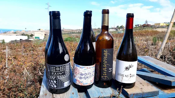 Bodega Guayonge - Tacoronte