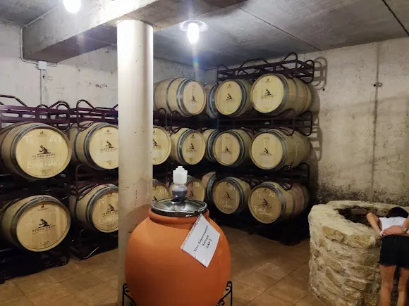 Terra D´Art - Viñedos y Bodegas. Valle de Ahillas - Chelva