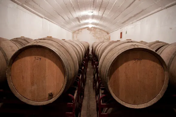 Bodegas Ruberte S.L.