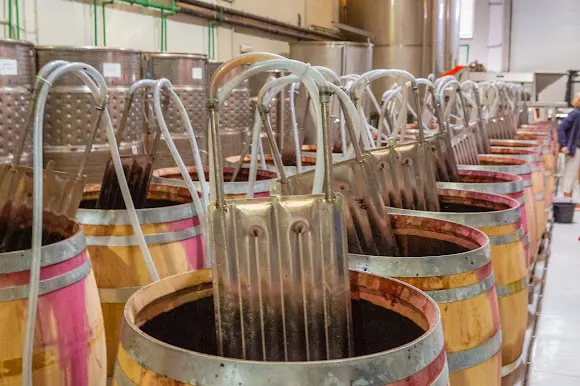 Bodegas Hispano Suizas - Requena