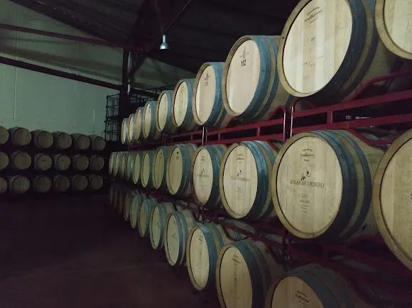 Bodegas Solar de Urbezo