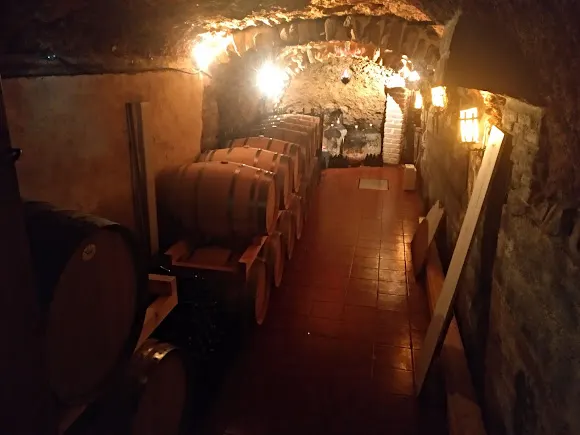VINOS IGNIUS