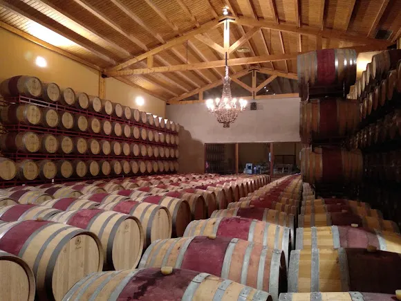 Bodegas Care
