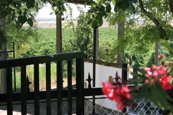 VEGACHICA vinos y aceites ecológicos, Bodegas S.A.T EL CASAR - Bodega en Huerta de Valdecarabanos