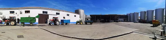 La Humildad S. Cooperativa de Castilla La Mancha - El Toboso