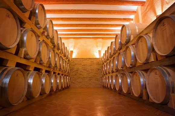 Bodega La Casa De Las Vides