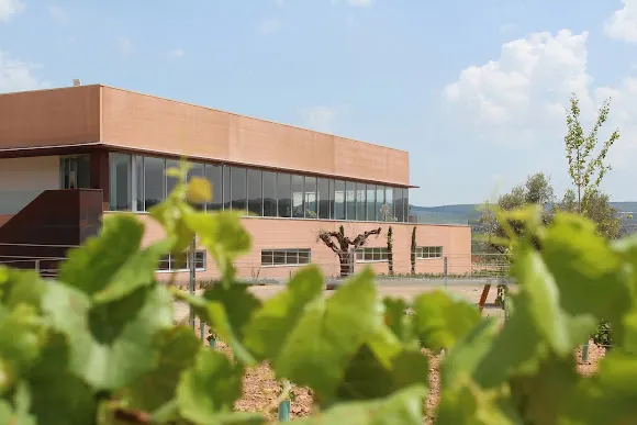 Bodegas Arráez - Bodega en Font de la Figuera (la)