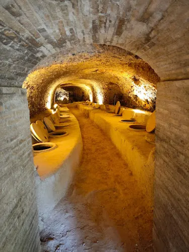 Celler del roure