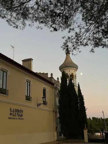 Bodegas Ladrón de Lunas - Requena