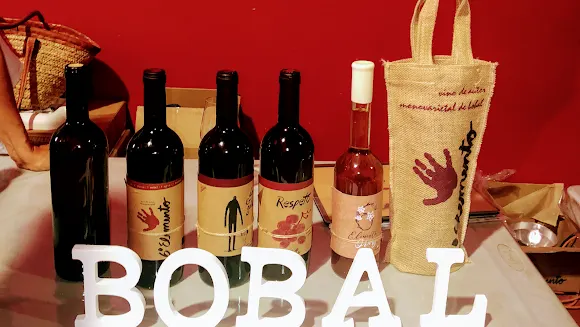 VINO SEXTO ELEMENTO - Bodega en Venta del Moro