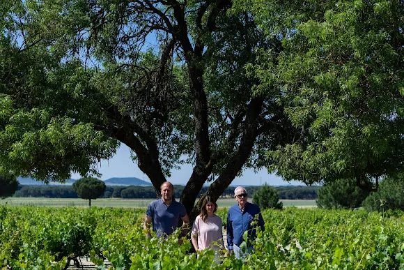 Bodegas Félix Lorenzo Cachazo
