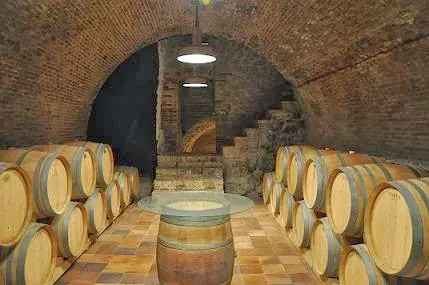 Bodegas Leda