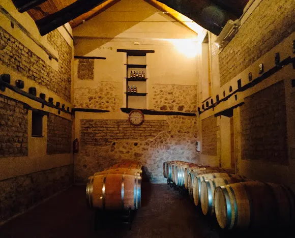 Bodega Viña Valdemazon - Olivares de Duero