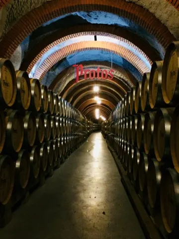 Bodegas Protos D.O. Rueda