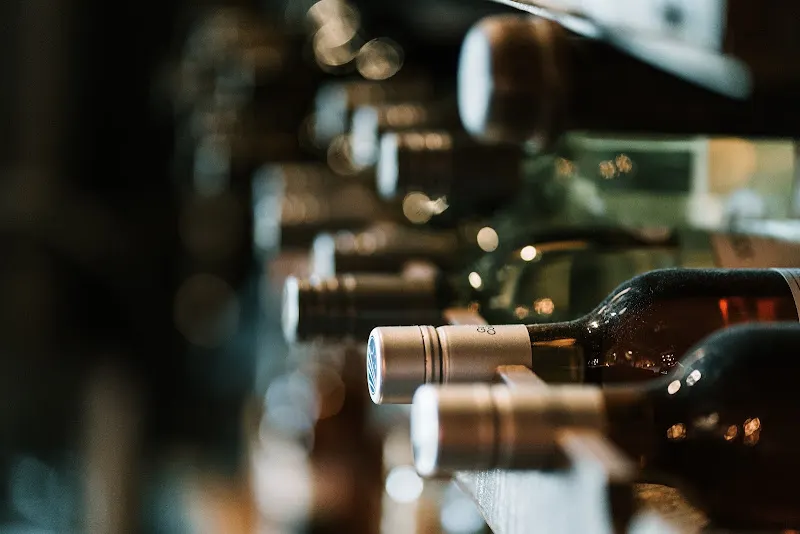 Vins des Dieux - Cádiz